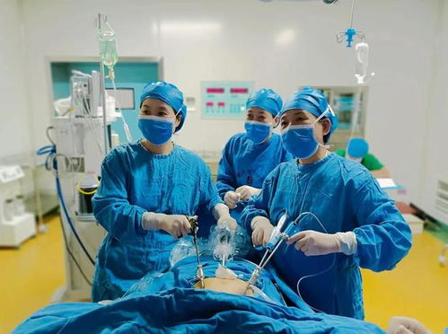 再添强将 两名重量级妇产科专家加盟福兴妇产医院，提升医疗实力