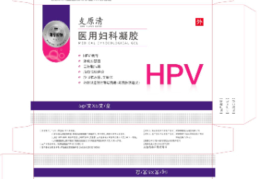 妇产科 生命之源的保护与守护